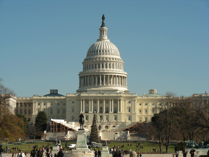 DSCN3190.gif - US Capitol (Nov '08)